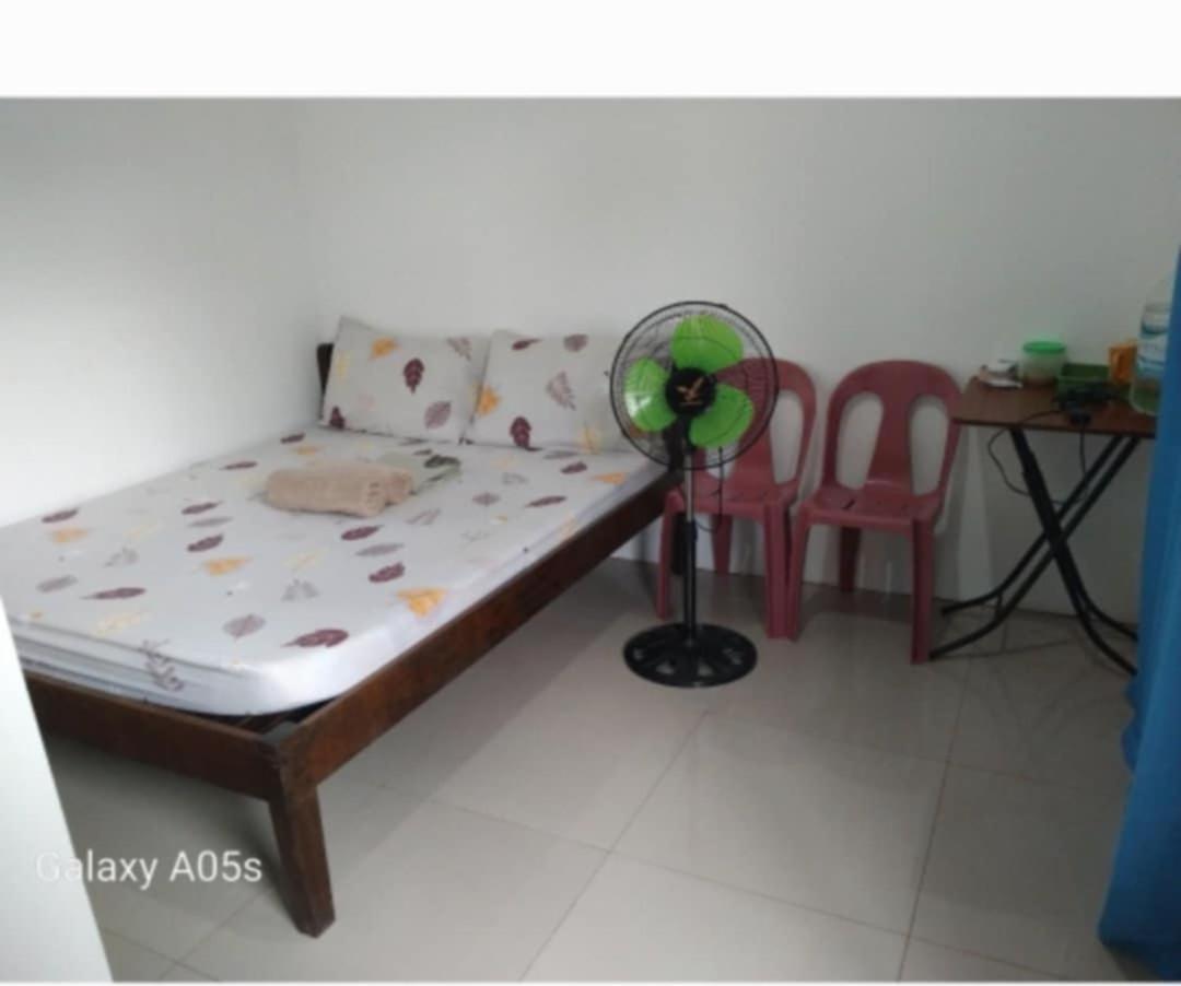 Francis Home Stay Port Barton Bonifacio Street San Vicente  Exterior foto
